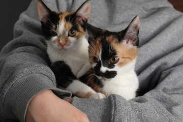 Woman with cute calico cats at home, closeup