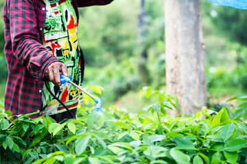 Obraz premium Pesticide application by farmer lush green fields agriculture action rural landscape close-up perspective sustainable practices