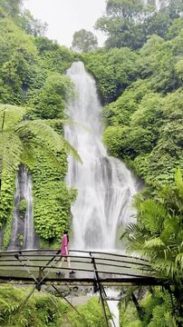 girl walks in the rain on wooden bridge under tree fern and observes the mighty Banyumala Twin waterfall surrounded by tropical vegetation. Trail to Munduk waterfall, Wanagiri village, Bali, Indonesia