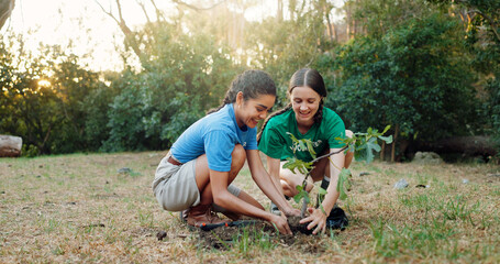 People, volunteer and planting trees with smile for sustainability, environment and Earth Day project. Happy, women or support for community service, eco friendly activity and plants growth in nature