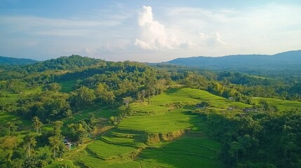 Obraz premium Limestone hills and rice fields near the entrance of Khao Nang Phanthurat Forest Park.