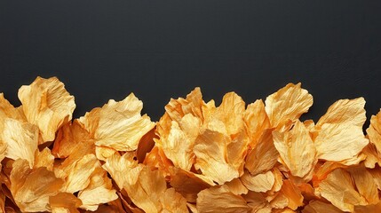 Vibrant Golden Petals on a Dark Background for Elegant Decoration or Design Concepts