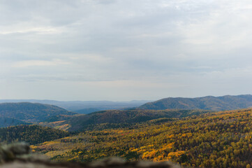 Fototapeta premium Hilly terrain in autumn. Mountain landscape.