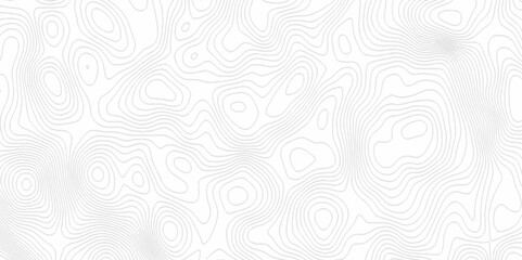 White topography topology vector white background fresh contour map texture. white seamless pattern Abstract background with a wave Topography and geography map grid abstract backdrop.