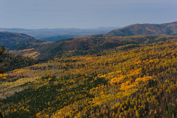 Hilly terrain in autumn. Mountain landscape.