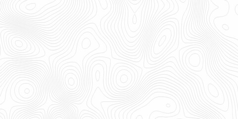 White topography topology vector white background fresh contour map texture. white seamless pattern Abstract background with a wave Topography and geography map grid abstract backdrop.
