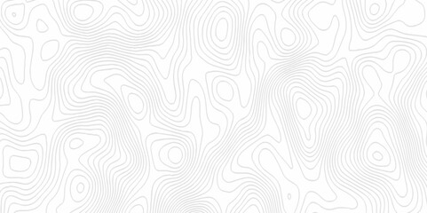 White topography topology vector white background fresh contour map texture. white seamless pattern Abstract background with a wave Topography and geography map grid abstract backdrop.