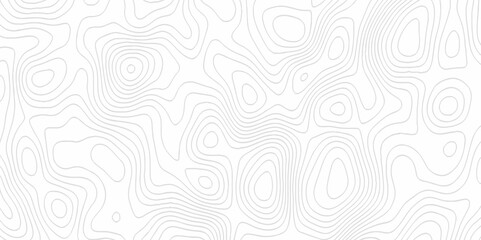 White topography topology vector white background fresh contour map texture. white seamless pattern Abstract background with a wave Topography and geography map grid abstract backdrop.