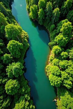 Serpentine Tempisque River, lush green Palo Verde Aerial view , wildlife, wet season, tropical