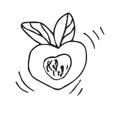 Hand drawn black and white doodle peach vector composition illustrations on white background. For printing and textile postcards.
