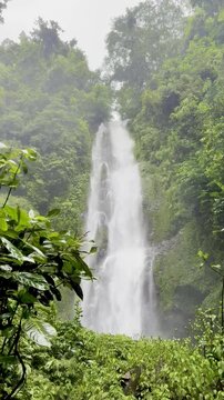 Spectacular Melantig waterfall during wet season surrounded by tropical dense jungle vegetation. Munduk waterfall trail, Wanagiri village. Best hikes on Bali, Indonesia