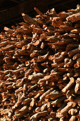 pile of wood log in the country home with sunlight, firewood for fuel