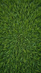 Fototapeta premium Vibrant green grass blades radiate outwards creating a striking symmetrical texture. AI Generated