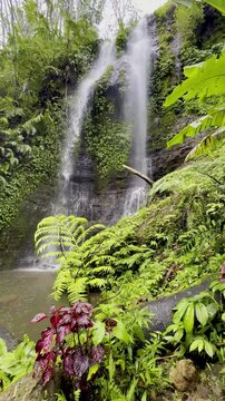 powerful Air Terjun Munduk waterfall flowing over a cliff  hidden in the middle of dense jungle. Munduk waterfall trail, Wanagiri village. Best hikes on Bali, Indonesia