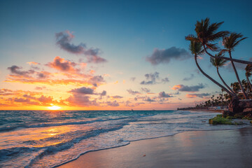Palm and tropical beach in Punta Cana, Dominican Republic