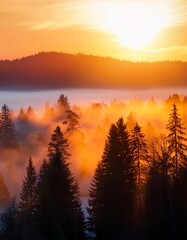 Misty and fogging landscape of forest, fiery orange sunset 