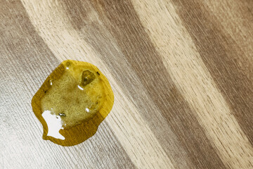 Dog vomit on floor – symptoms of pet illness, veterinary care, and common dog health problems at...