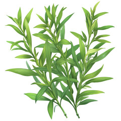 Fototapeta premium Illustrator transparent green leaves nature digital art close-up vibrant botanical design
