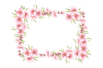 Almond pink flowers with leaves and buds watercolor horizontal frame isolated. Floral template with copy space from spring sakura, cherry blossom. Illustration of spring blooming fruit in sketch style