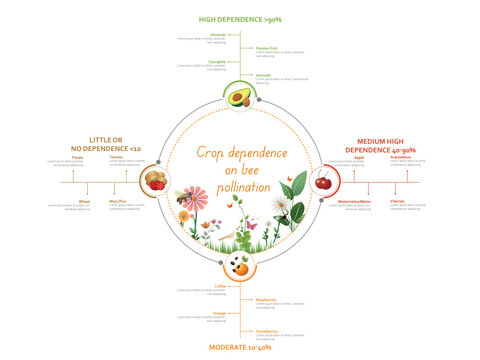 Crop dependence on bee pollination for sustainable agriculture