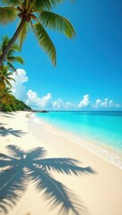 Fototapeta premium Sun-drenched, pristine sand beach; clear blue sky , sand, crisp