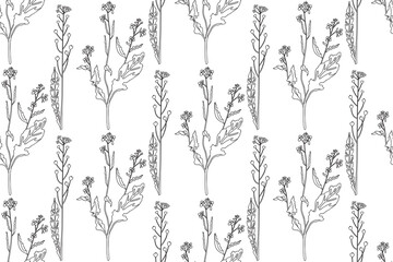 Line art botanical plants floral seamless pattern with wildflowers vector illustration.Outline repeating doodle flowers in white background. Graphic design for Fashion Cover Textile Coloring Page Card