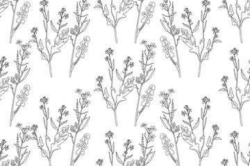 Line art botanical plants floral seamless pattern with wildflowers vector illustration.Outline repeating doodle flowers in white background. Graphic design for Fashion Cover Textile Coloring Page Card