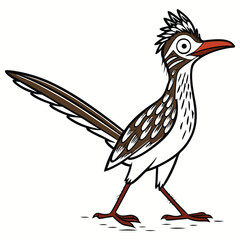 Vector illustration of cute Greater Roadrunner bird 