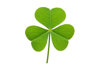 A single green shamrock on a transparent background view