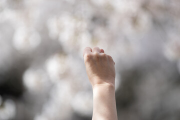 ガッツポーズする手元