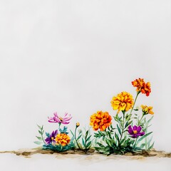 Obraz premium Watercolor Painting of Marigolds and Cosmos Flowers on White Background. A vibrant floral illustration perfect for cards, invitations, or home decor.
