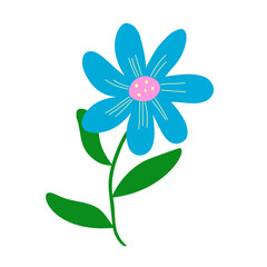 blue flower isolated on white