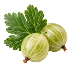 Green gooseberries with leaves on transparency background