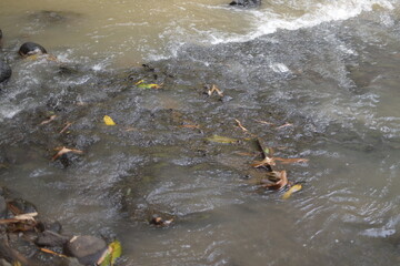 A foamy, murky river flows through a rocky landscape