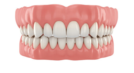 Isolated Set of Dentures