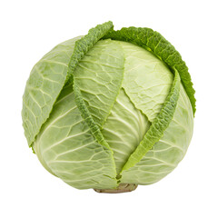 Fresh Green Cabbage Head on White Background Healthy Food Ingredient