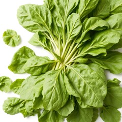 Fototapeta premium A vibrant bunch of fresh spinach leaves arranged artfully on a clean white background showcasing its bright green color and healthy texture.