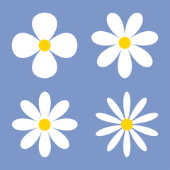 Chamomile, daisy. Vector set of isolated flower icons.