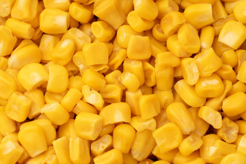 Sweet corn kernels. Sweet yellow canned corn. Fresh corn kernels.