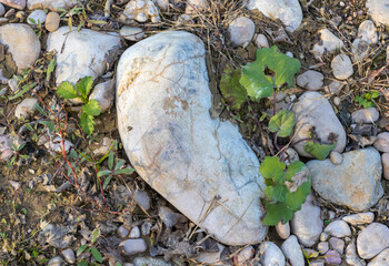 the structure of the rocky bottom of a dried-up riverbed in the autumn period of the year