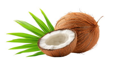 Fresh green coconut with tropical leaf, a symbol of paradise and refreshment