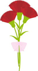 Mother's Day Carnation Flower