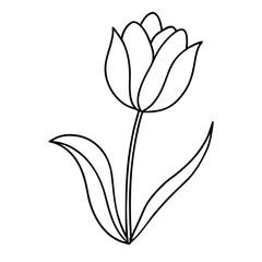 A minimalistic line art of a single tulip flower, with simple curved lines for the petals and leaves 