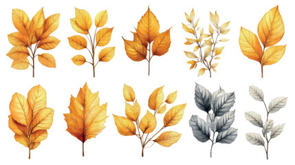 Obraz premium Autumn leaves pattern seamless print wallpaper, paper, stationery. Autumn leaves set fabric texture. Yellow leaves isolate.