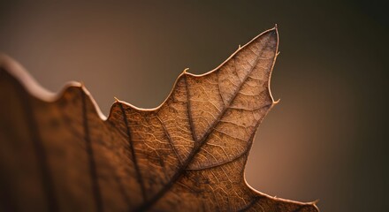 Naklejka premium Close-up of Autumn Leaf with Detailed Texture and Warm Brown Tones