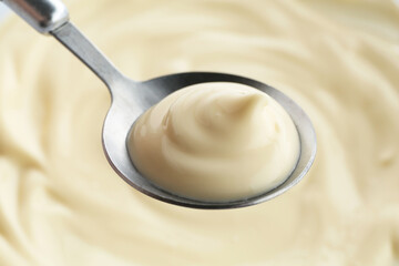 Spoon with delicious mayonnaise sauce, closeup view