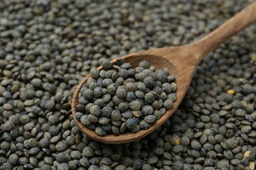 Raw green lentils and spoon as background, closeup view