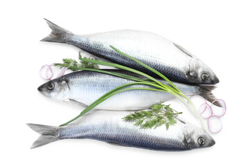 Salted herrings, onions and dill on white background, top view