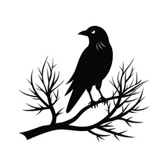 Obraz premium Raven Perched on Winter Branch icon of silhouette vector illustration on white background