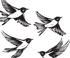 silhouette of flying birds